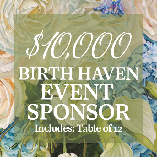 Birth Haven  Event Sponsor