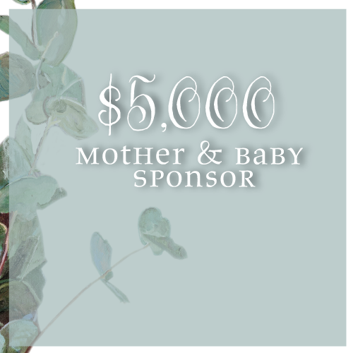 Mother & Baby Sponsor